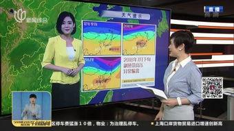 警界线 在线观看,在线观看，揭秘犯罪背后的正义之战